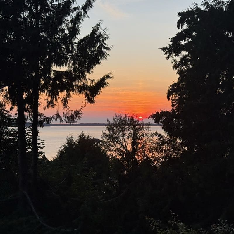 Example daily photo: an orange sunset over the water, framed by dark evergreens